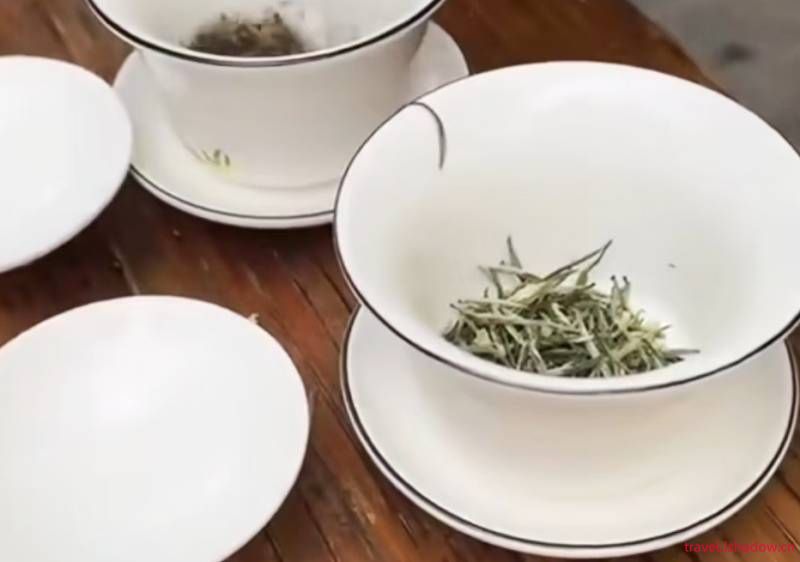 成都茶館:千年茶文化的傳承與延續