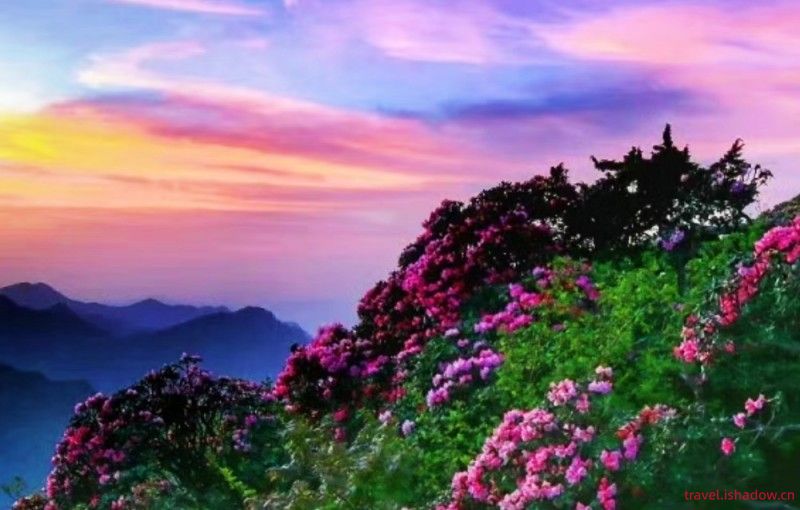 秋登香爐山：攬盡光霧山間的詩意與斑斕